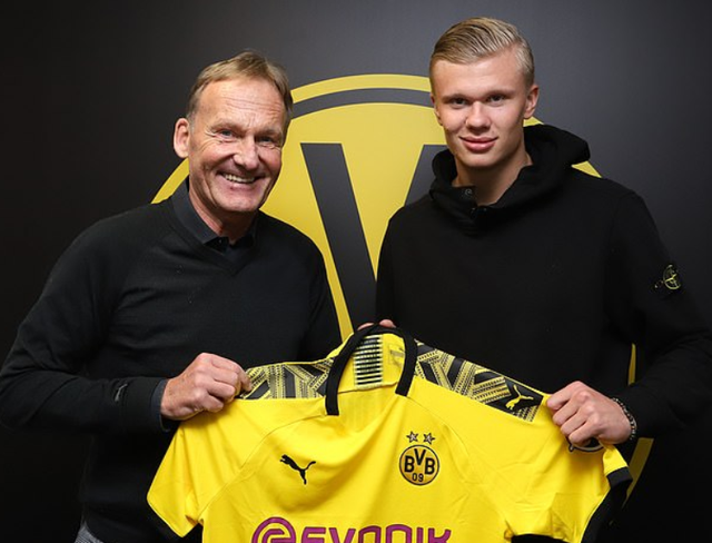 适度的肢体 适度的肢体