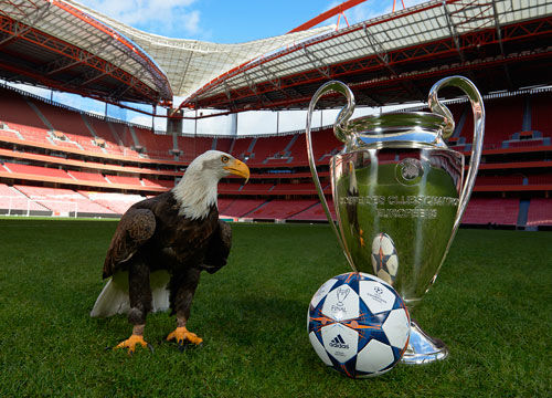 等核心关键 等核心关键