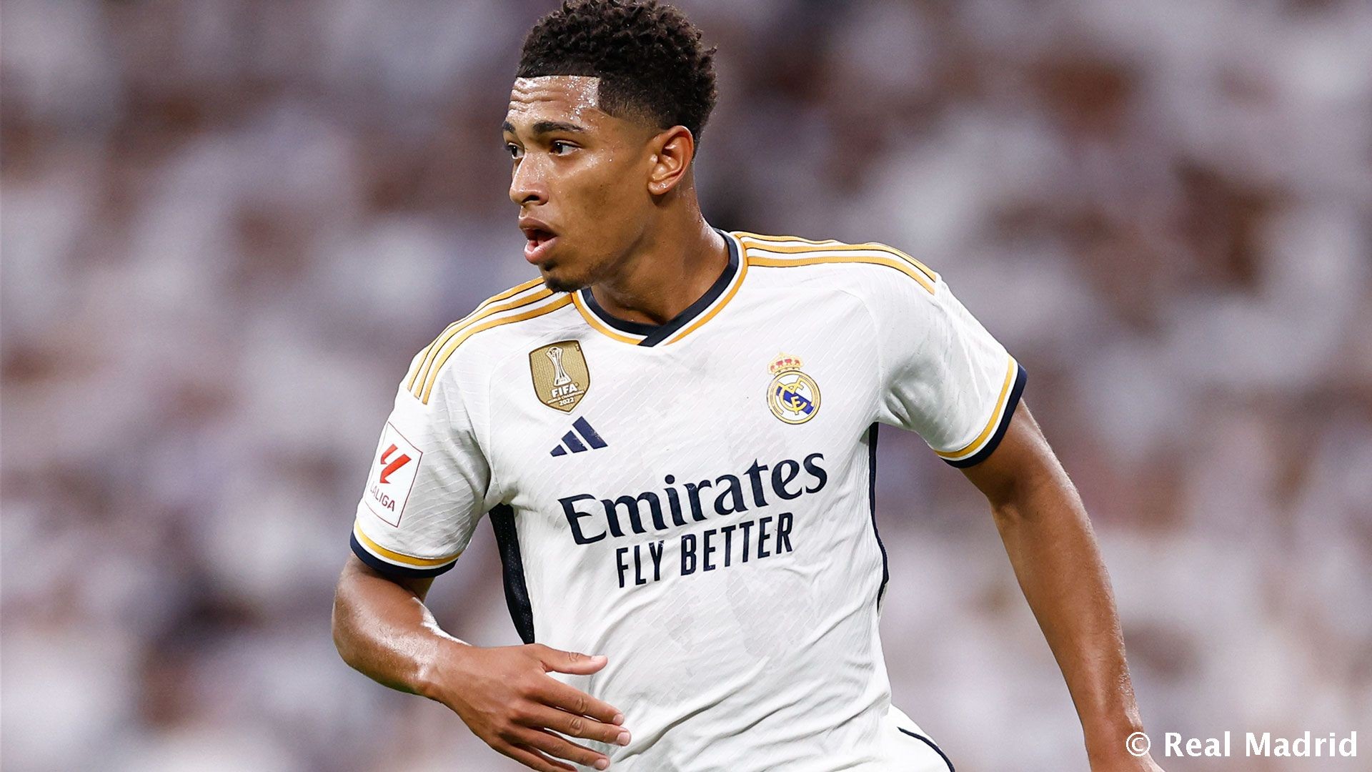 反之保留门 反之保留门